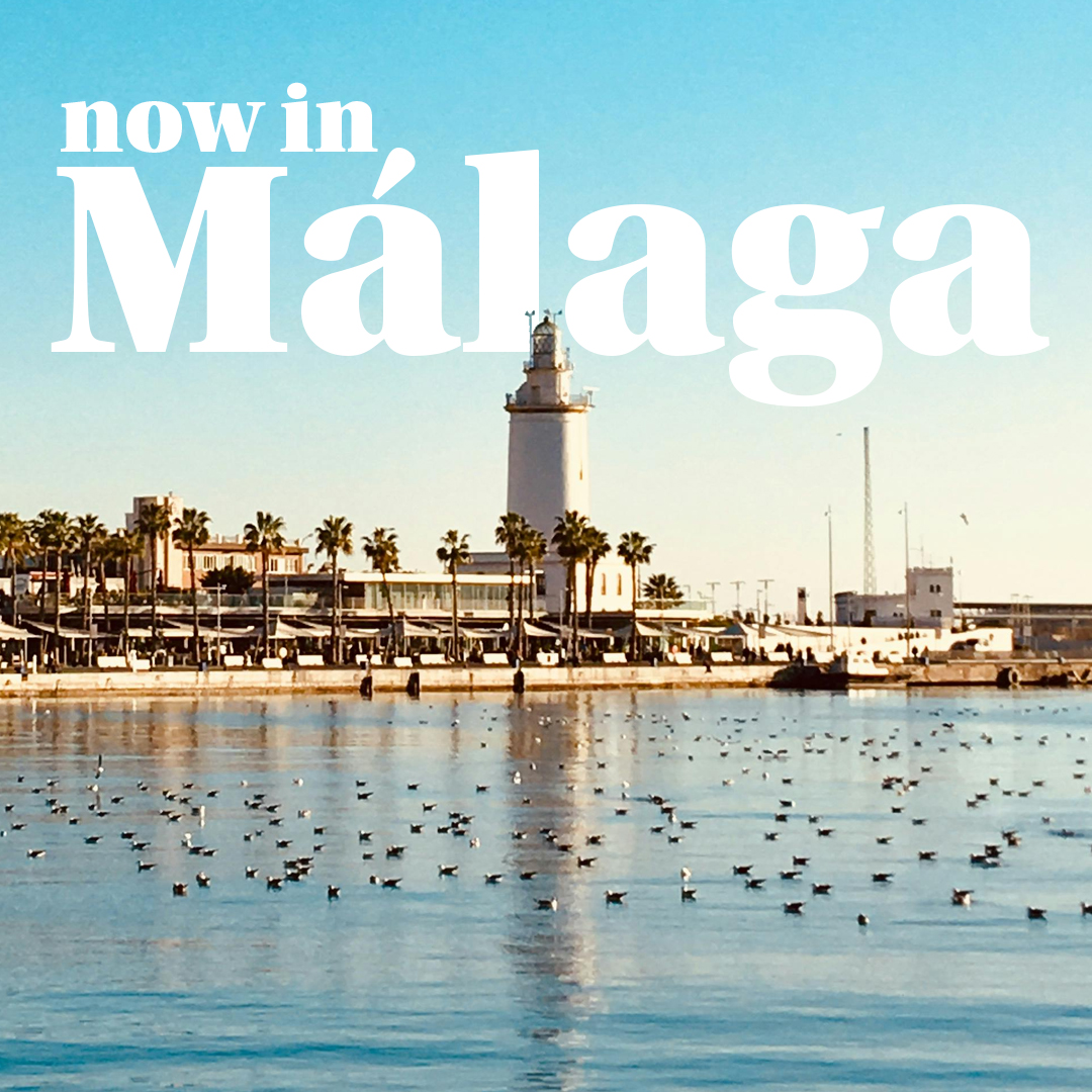 NISHO Redes Sociales Malaga